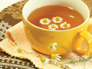 Hướng dẫn làm trà hoa cúc mật ong chữa viêm xoang